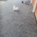 whatsapp image 2022 10 31 at 9.20.55 pm