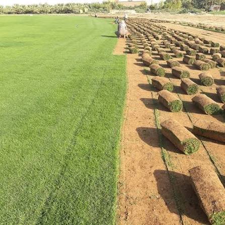 whatsapp image 2026 01 25 at 5.36.51 pm